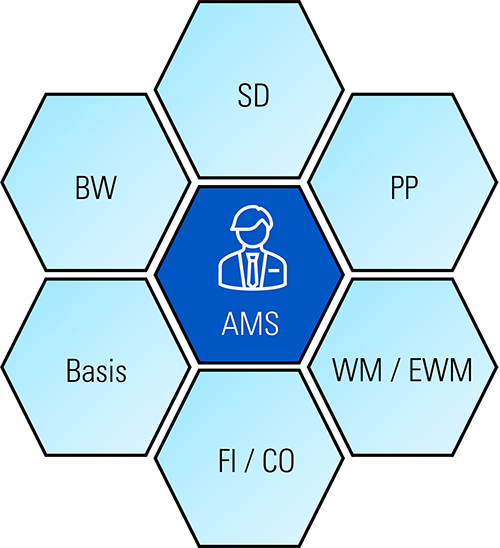 SAP Application Management Services