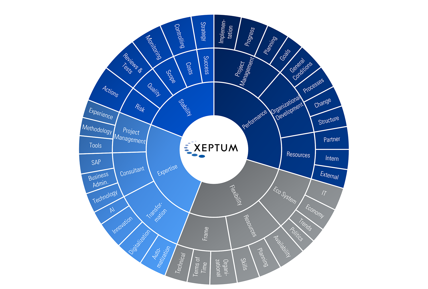 SAP Project Management: Secure and Flexible